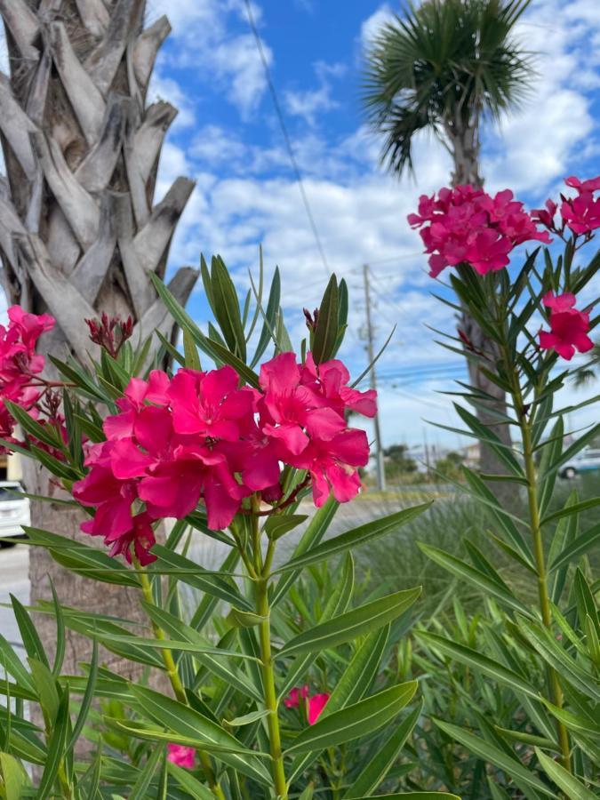 House 3 Blocks To The Beach Panama City Beach Exteriér fotografie
